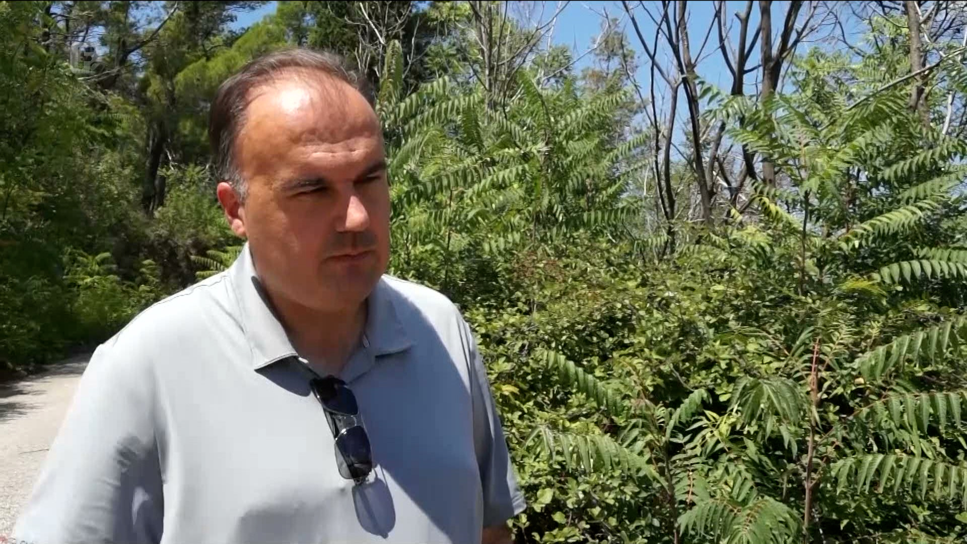 Spasojević: Šume se ne održavaju, u takvim uvjetima lako dolazi do požara